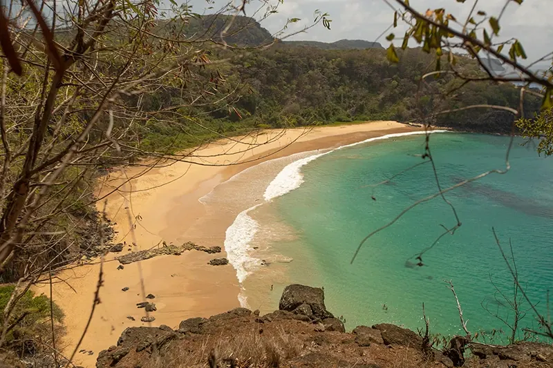 Baía de areia dourada e mar verde em Fernando de Noronha, vista do alto entre galhos.